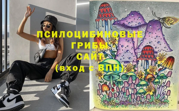 крисы Волоколамск