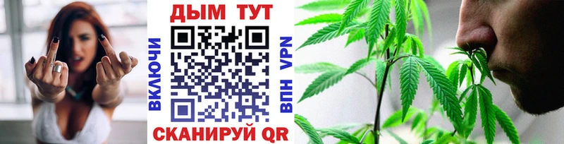 Купить  Можга  Канабис AK-47 